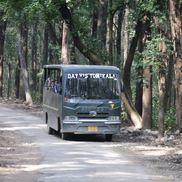 Dhikala Canter Safari