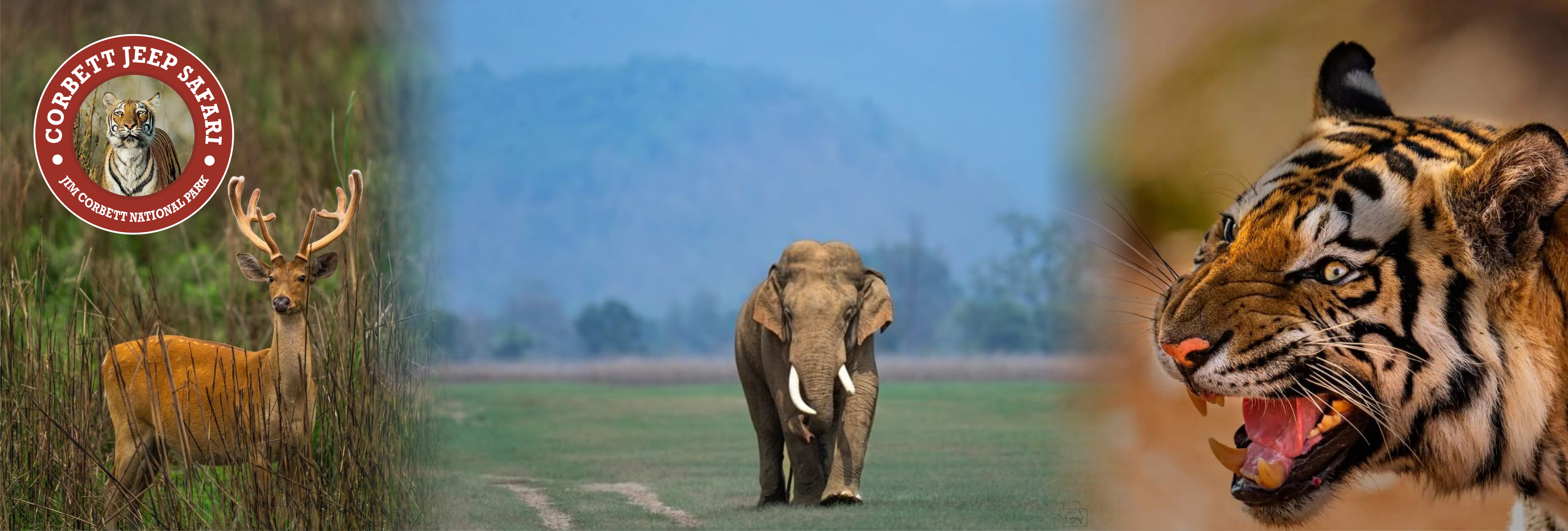 Corbett Safari Reservation