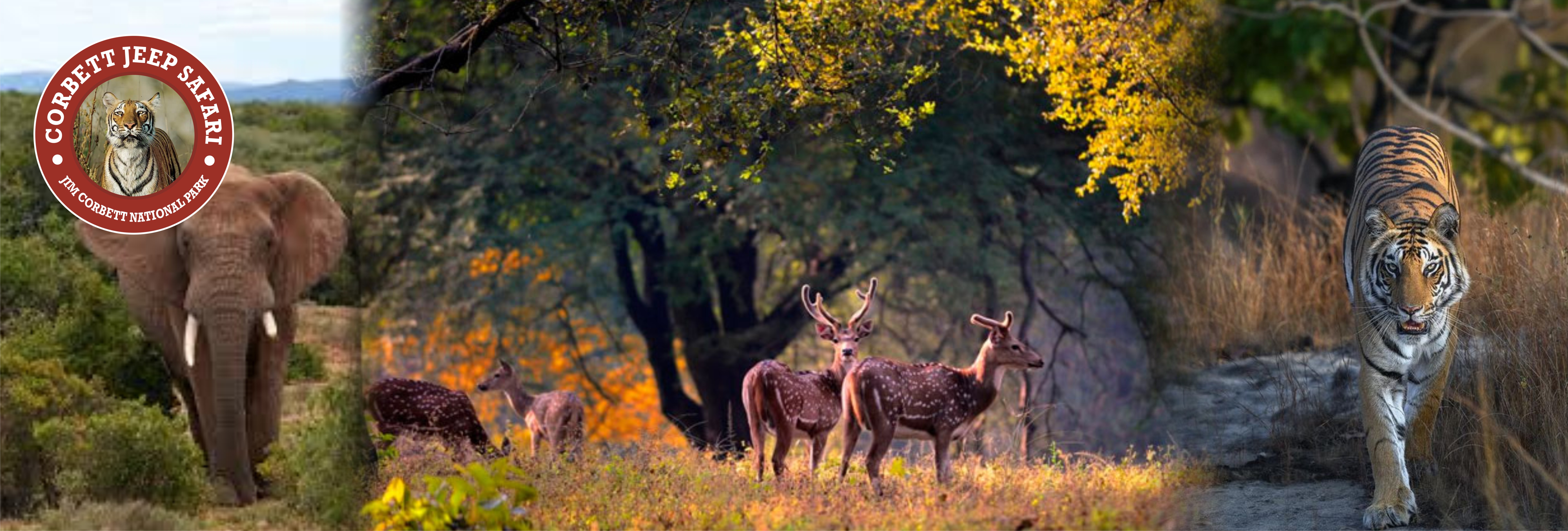 Dhikala Tourism Zone