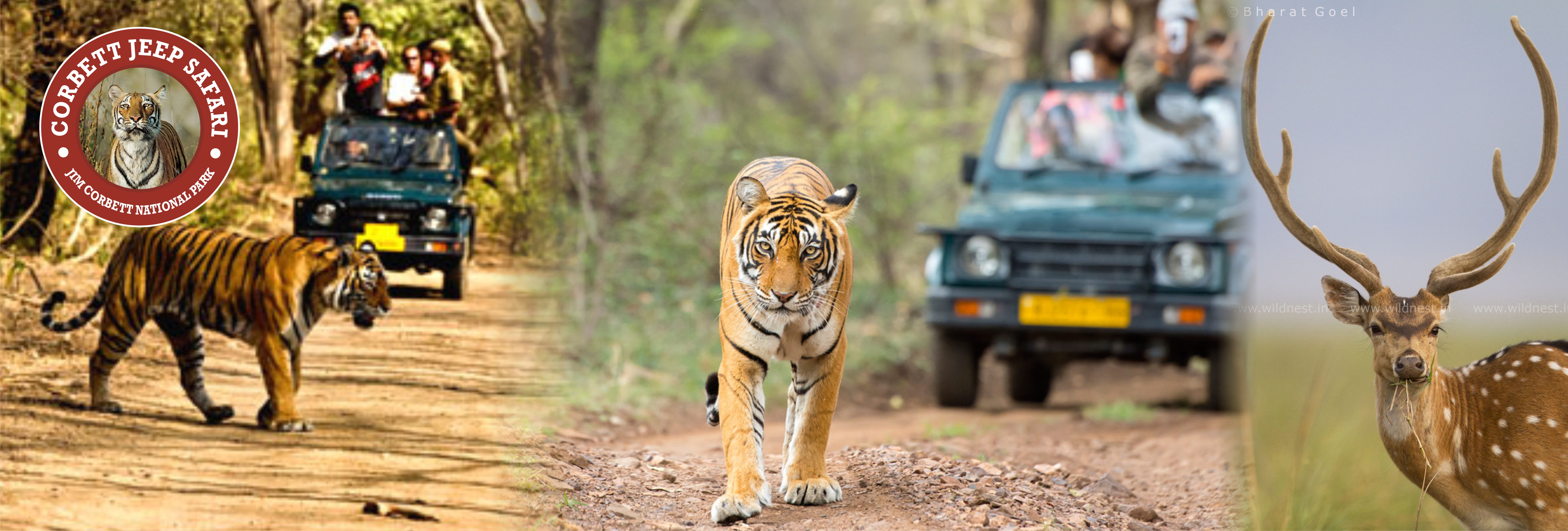 How To Reach Jim Corbett National Park
