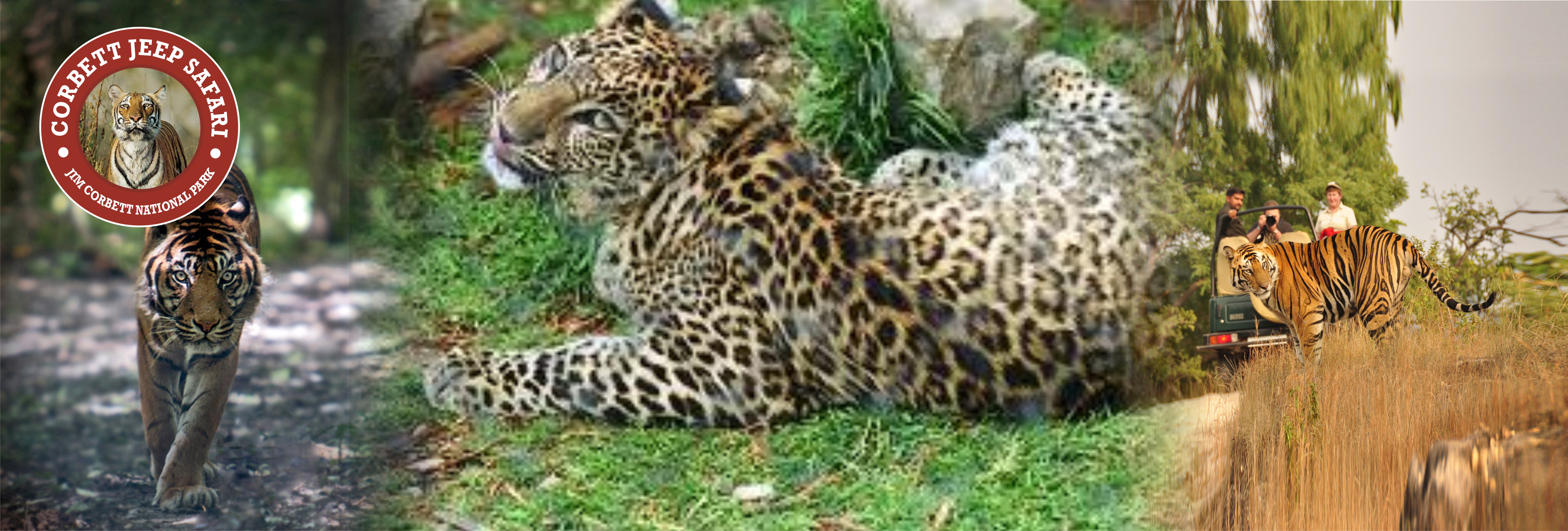 Gypsy Safari In Corbett