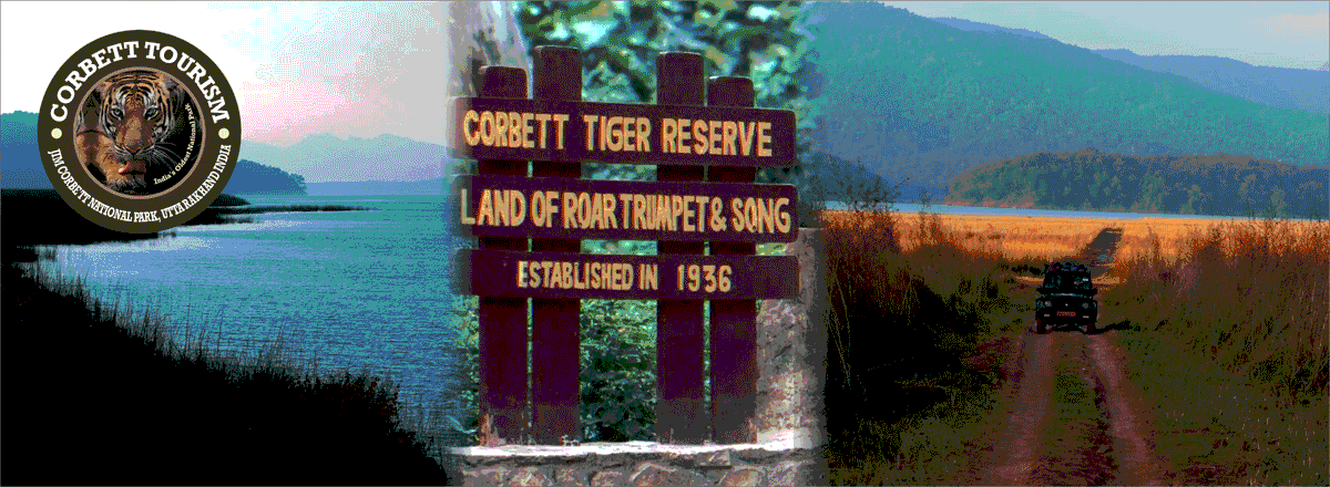 Jim Corbett Jeep Safari