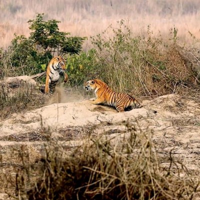 Corbett National Park