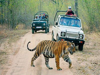 Dhikala Jeep Safari